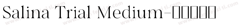 Salina Trial Medium字体转换